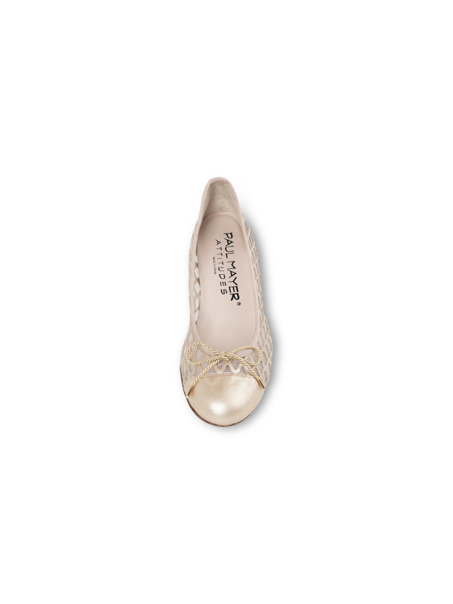 New Mesh Wedge