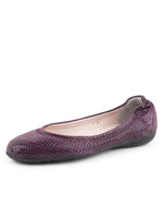 Dark Purple Color