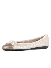 Taupe/Salinas